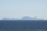 Capri i "nasze" okno dzieli niespełna 31 km