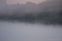 Jeziora, moczary, mgła, poranek