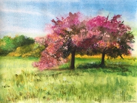 Kwitnące drzewa w kwietniu