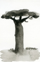 To również Baobab