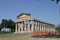 Paestum, świątynia Ateny