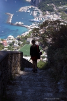 Schodami Fenickimi na Capri